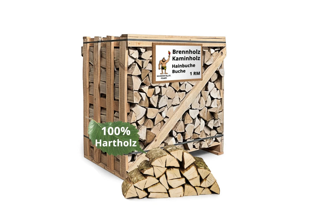 Brennholz Hainbuche 1RM Box 25 cm